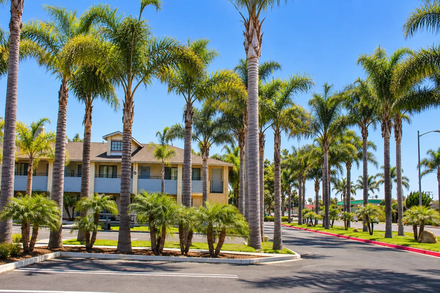 Palm trees lining the drive and parking in front of the hotel's two-story guest wing