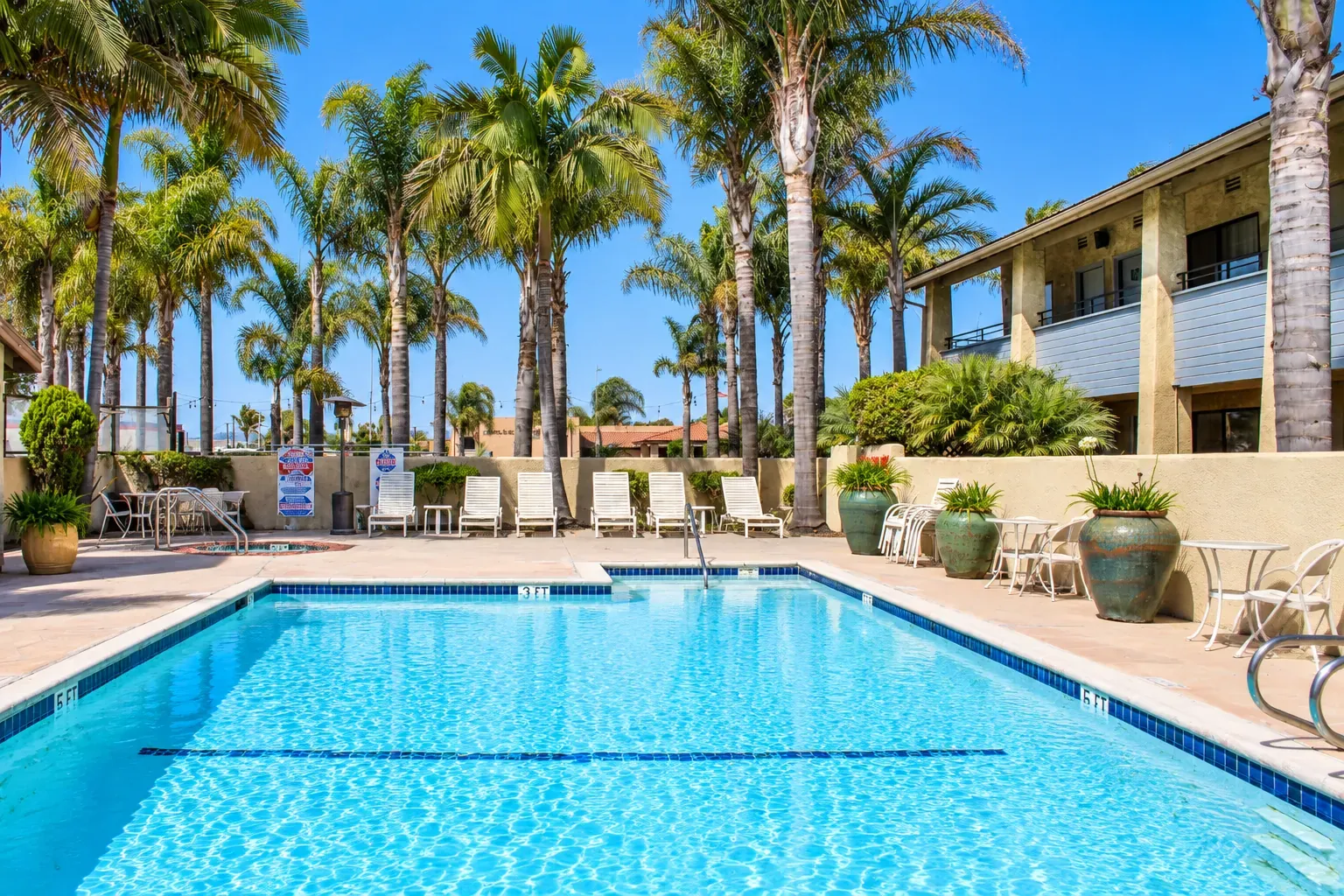 The outdoor pool, with lounge chairs and palm trees along the guest wing